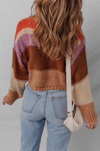 Colorblock Cozy Sweater
